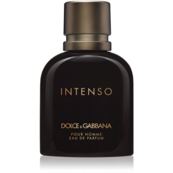 Dolce & Gabbana Pour Homme Intenso Eau de Parfum pentru bărbați
