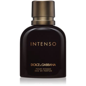 Dolce & Gabbana Pour Homme Intenso Eau de Parfum pentru bărbați
