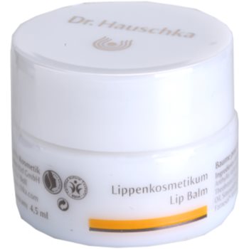 Dr. hauschka eye and lip care balsam de buze nutritiv