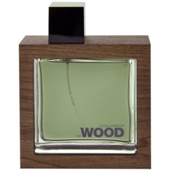 Dsquared2 He Wood Rocky Mountain toaletní voda pro muže 100 ml