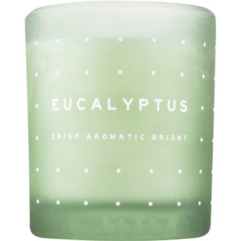 DW Home Eucalyptus lumanari parfumate 371,3 g