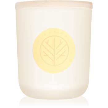 DW Home Vanilla & Raw Honey lumanari parfumate 320,49 g cu fitil din lemn