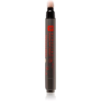Erborian Touch Pen baton corector iluminator