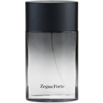 Fotografie Ermenegildo Zegna Zegna Forte toaletní voda pro muže 100 ml