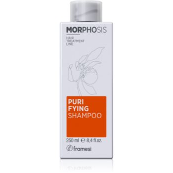 Framesi morphosis purifying sampon anti-matreata