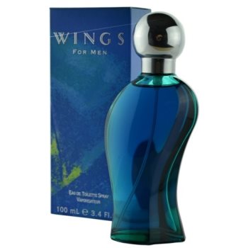 Giorgio Beverly Hills Wings for Men toaletní voda pro muže 100 ml