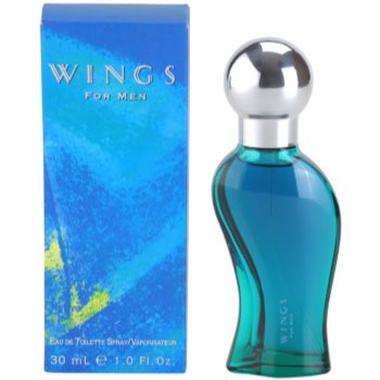 Giorgio Beverly Hills Wings for Men toaletní voda pro muže 30 ml