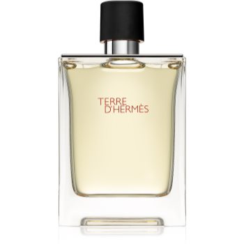 Hermès Terre d’Hermès Eau de Toilette pentru bărbați