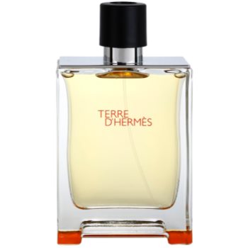 

Hermès Terre d’Hermes туалетна вода тестер для чоловіків 200 мл