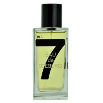 Iceberg eau de iceberg 74 pour homme eau de toilette pentru bărbați