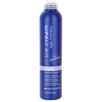 Fotografie Inebrya Age Therapy regenerační šampon pro zralé a porézní vlasy 300 ml