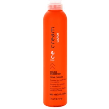 Fotografie Inebrya Color šampon pro barvené a melírované vlasy 300 ml