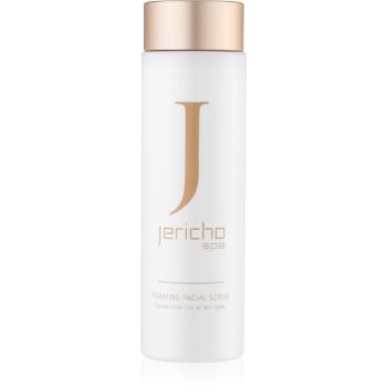 Jericho Face Care spuma de curatat