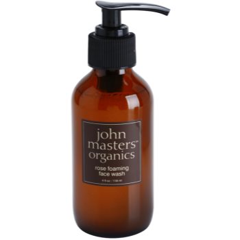 

John Masters Organics Normal to Dry Skin очищаюча пінка для шкіри обличчя 118 мл
