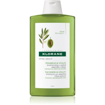 Klorane Olive Extract șampon cu extract de ulei de măsline