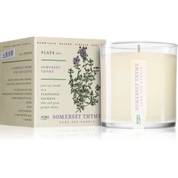 Kobo plant the box somerset thyme lumânare parfumată
