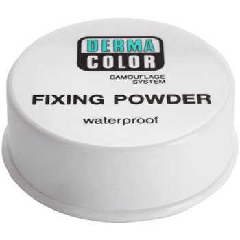 

Kryolan Dermacolor Camouflage System водостійка фіксуюча пудра відтінок P 5 20 гр