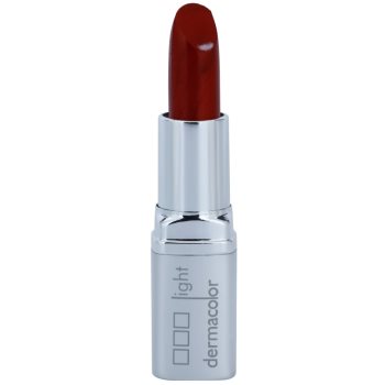 

Kryolan Dermacolor Light помада відтінок DL 11 4 гр