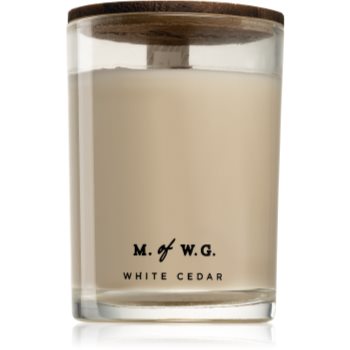 Makers of Wax Goods White Cedar lumânare parfumată cu fitil din lemn