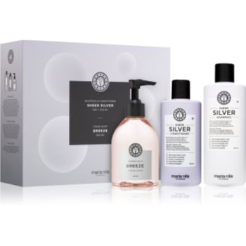 

Maria Nila Sheer Silver