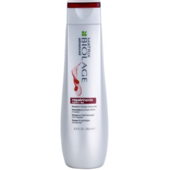 

Matrix Biolage Advanced Repair Inside шампунь для ослабленого та пошкодженого волосся 250 мл