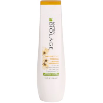 Matrix Biolage SmoothProof uhlazující šampon pro nepoddajné a krepatějící se vlasy 250 ml