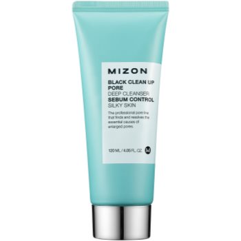 

Mizon Clean очищуюча пінка та пілінг з сіллю Мертвого моря та деревним вугіллям 120 мл