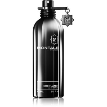 Montale greyland eau de parfum unisex