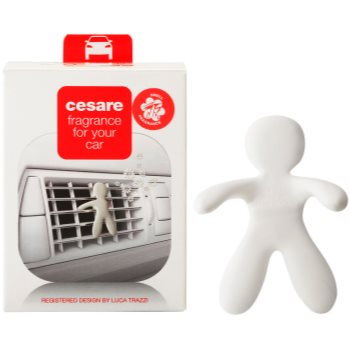 Mr & mrs fragrance cesare fresh air parfum pentru masina i.