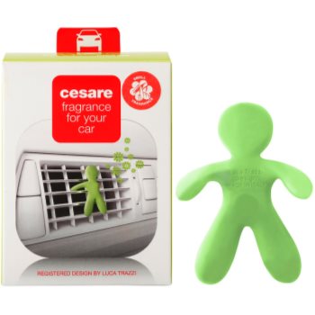 

Mr & Mrs Fragrance Cesare aромат для авто 1 кс (Citrus)