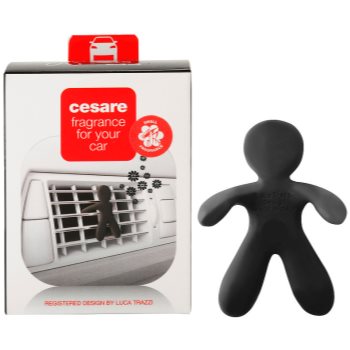 Mr & mrs fragrance cesare cedar wood parfum pentru masina i.