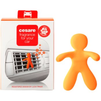 Mr & mrs fragrance cesare energy parfum pentru masina i.