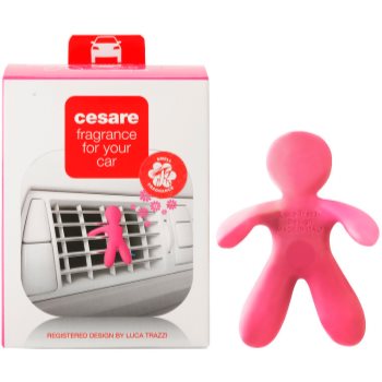 

Mr & Mrs Fragrance Friends Cesare Fragrance For Car oсвіжувач повітря 1 кс (Citrus & Musk)
