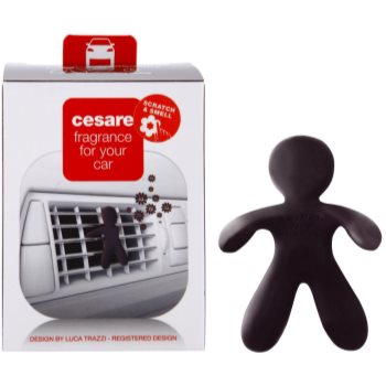 

Mr & Mrs Fragrance Friends Cesare Fragrance For Car oсвіжувач повітря (Tranquillity)