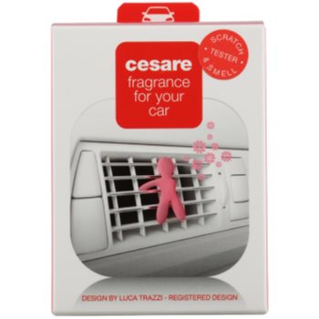 

Mr & Mrs Fragrance Cesare aромат для авто 1 кс (Silky Rose)