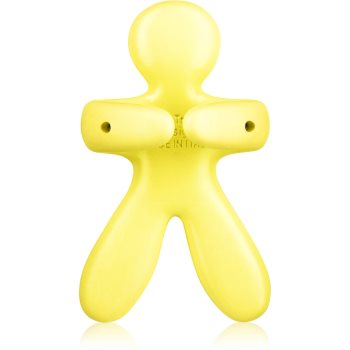 

Mr & Mrs Fragrance Ercole oсвіжувач білизни (Comfort Woody)