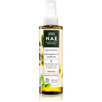 N.a.e. riparazione balsam sub forma de spray pentru par uscat