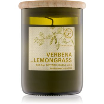 Paddywax Eco Green Verbena & Lemongrass lumânare parfumatã poza