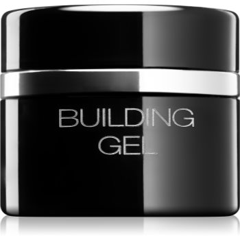 Pierre rené nails hybrid gel modelator pentru unghii
