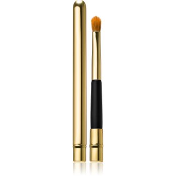 Pierre René Accessories pensula pentru buze