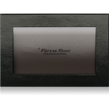 Pierre rené magnetic palette paleta de farduri magnetica