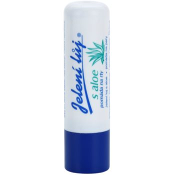 Regina Traditional balsam de buze cu aloe vera