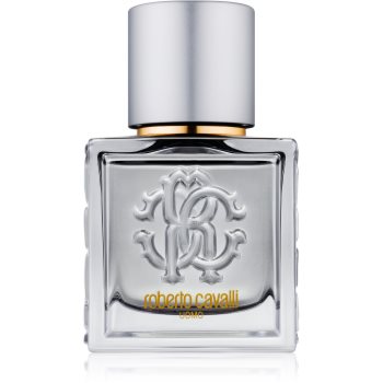 

Roberto Cavalli Uomo Silver Essence туалетна вода для чоловіків 40 мл