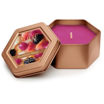 

Root Candles Blackberry Mango ароматизована свічка 113 гр в металевій коробці