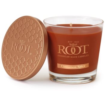 

Root Candles Cinnamon Spice ароматизована свічка 179 гр