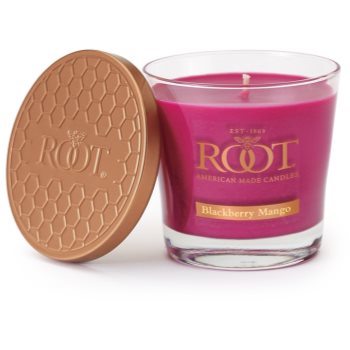 

Root Candles Blackberry Mango ароматизована свічка 179 гр