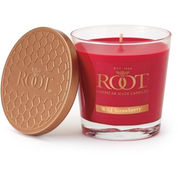 

Root Candles Wild Strawberry ароматизована свічка 179 гр
