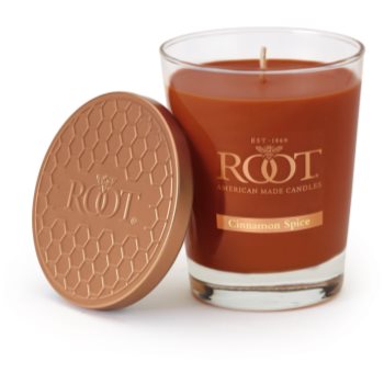 Root Candles Cinnamon Spice lumanari parfumate 297,7 g