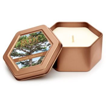 

Root Candles Japanese Cedarwood ароматизована свічка 113 гр в металевій коробці
