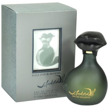 Fotografie Salvador Dali Pour Homme toaletní voda pro muže 100 ml